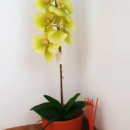 8 Huespedes En Plena Naturaleza Holiday home Gestalgar